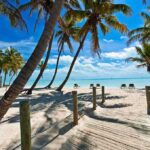 Tropical beach with palm trees and clear blue water