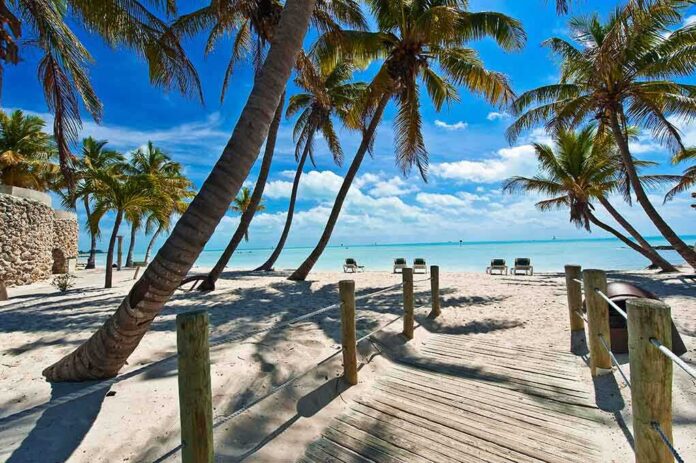 shutterstock_153029399.jpg Tropical beach with palm trees and clear blue water