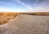 A dry, cracked landscape with sparse grass and a blue sky