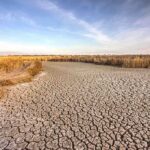 A dry, cracked landscape with sparse grass and a blue sky