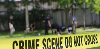 Yellow crime scene tape blocking grassy area.