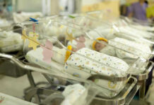 Newborn babies in a hospital nursery.