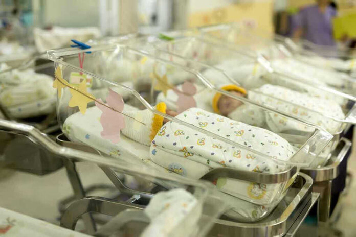Newborn babies in a hospital nursery.