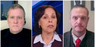 Immigration Enforcement Experts Weigh in on Killing of