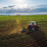 FBI Busts Bizarre Hog Farm Murder Plot Tractor plowing a vast green field at sunset.