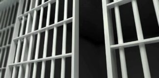 Close-up view of metal prison bars in a dark environment