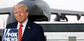 Judge orders return of alleged MS-13 gang member to the