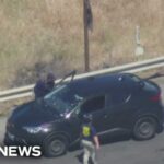 ICE officers involved in California shooting