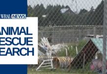 Hundreds of missing animals from California rescue urges federal investigation