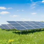 Trump Torches Wind, Solar Lifelines Solar panels in a grassy field under blue sky.