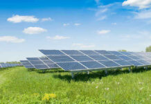 Trump Torches Wind, Solar Lifelines Solar panels in a grassy field under blue sky.