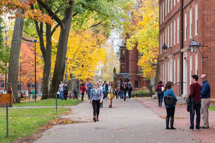 193437935 People walking on a college campus in autumn.