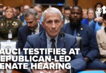 Senate Showdown: Fauci Goes Silent Fauci invokes Fifth Amendment at Republican-led Senate hearing on COVID-19 origins