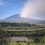 Terraced farmland below a cloud-covered mountain