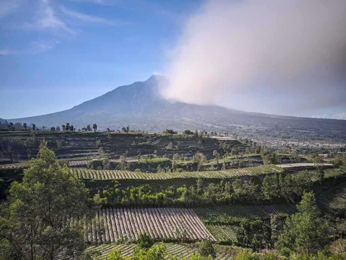 shutterstock_2274526577 Terraced farmland below a cloud-covered mountain