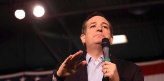 man speaking into a microphone at a rally