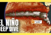 Brace for Heatwaves — El Niño Accelerates El Niño deep dive: Why is this event so significant in 2026? | #elniño
