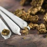 Pills, Crash, No Booze — Judge Drops Hammer Three cannabis joints beside loose marijuana buds