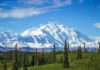 Massive Korea Cash Targets Alaska snow-capped mountain above evergreen forest