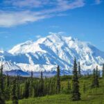 Massive Korea Cash Targets Alaska snow-capped mountain above evergreen forest