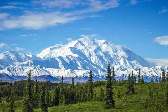 shutterstock_1068590996 snow-capped mountain above evergreen forest