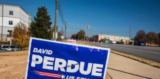 Campaign yard sign by a roadside