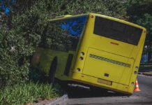yellow bus crashed into roadside bushes
