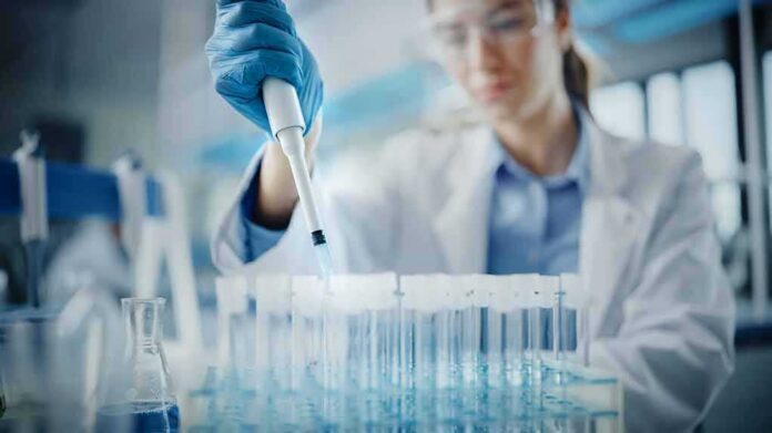 shutterstock_1924512605 Scientist using pipette to fill test tubes in a laboratory